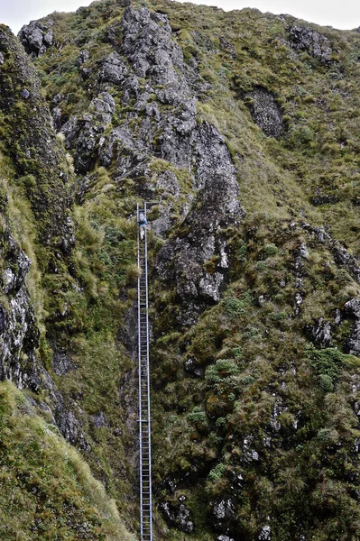 Vista Lejana Las Mujeres Excursionistas Escalando Escalera Montaña Tararua Ridge — Foto de Stock