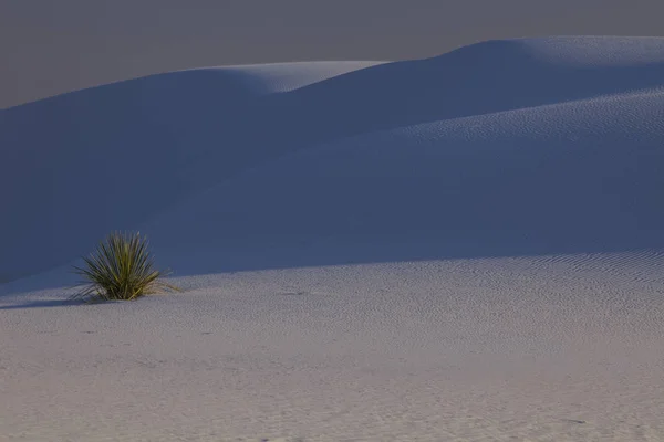 Ombres bleues sur les dunes, White Sands, Nouveau-Mexique, États-Unis — Photo