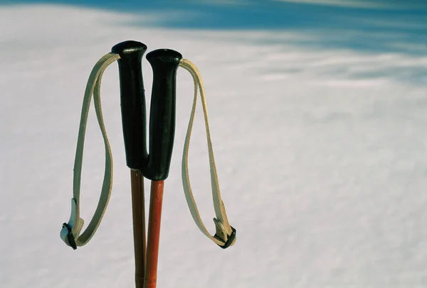 Лыжные палки — стоковое фото