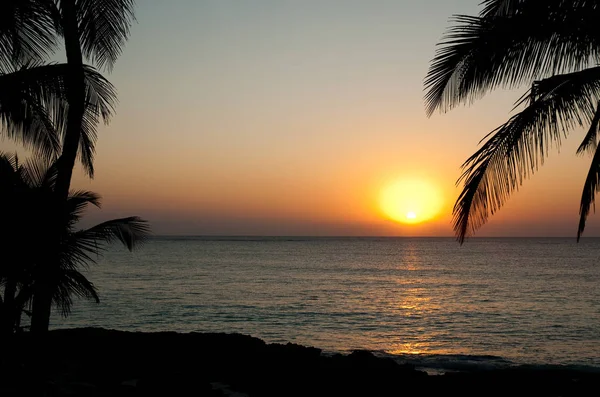 Palmen Und Sonnenuntergang Über Dem Meer Tulum Mexiko — Stockfoto