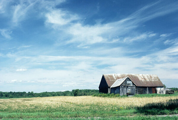 Abandoned barn and field