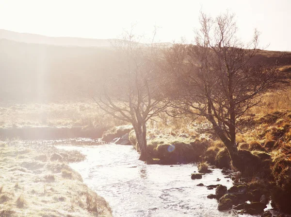 Río soleado y árboles desnudos, Highlands Noroeste, Escocia, Reino Unido — Foto de Stock