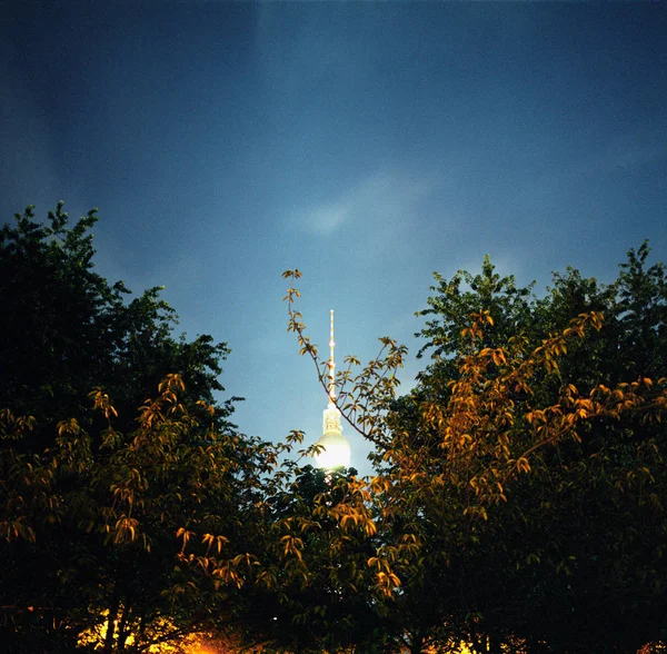 Berlin Televizyon Kulesi Ağaçlar Berlin Almanya — Stok fotoğraf