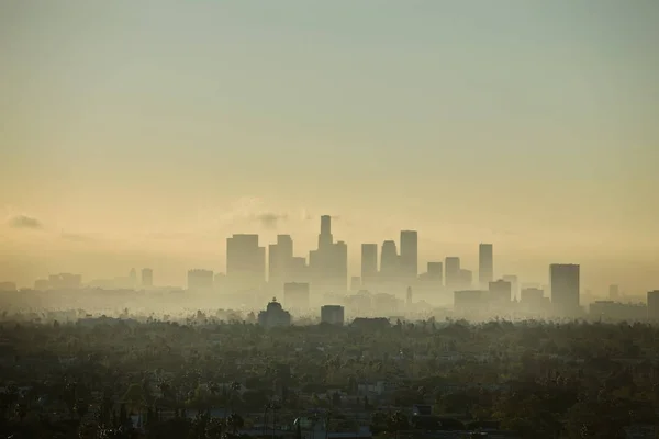 Skyline Λος Άντζελες Καλιφόρνια Usa — Φωτογραφία Αρχείου