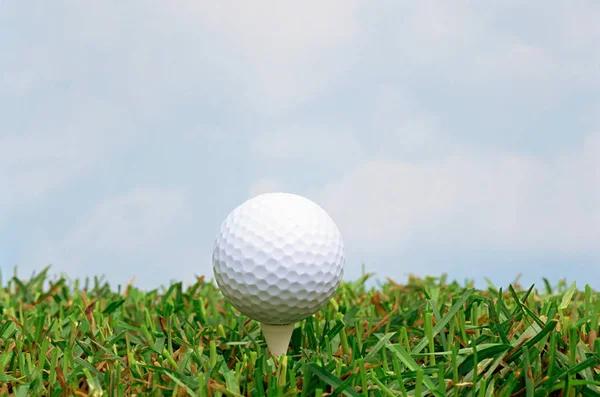 Golf Ball Tee Grass — 스톡 사진