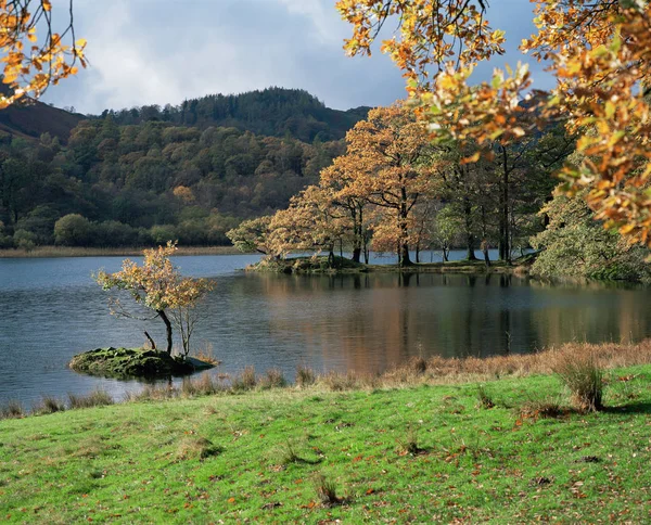 Jezioro Autumn Drzewa — Zdjęcie stockowe