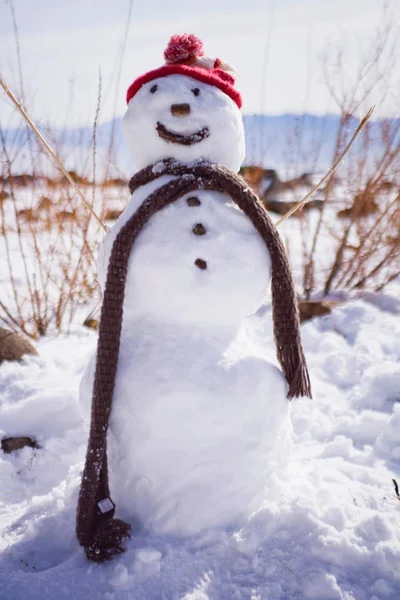Muñeco Nieve Sonriente Con Sombrero Bufanda —  Fotos de Stock