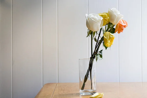 Rosas Morrendo Vaso — Fotografia de Stock