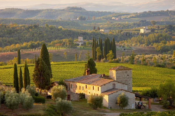 Chianti classico wijngaarden in de herfst — Stockfoto