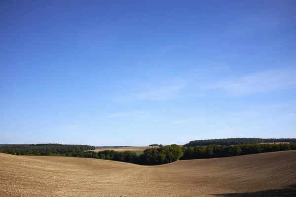 Vue Des Champs Blé Mûrs Bretagne France — Photo