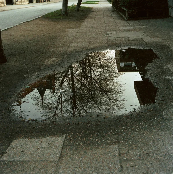 Uma poça no pavimento — Fotografia de Stock