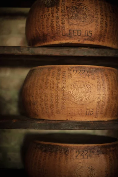 Wheels of cheese aging in cellar — Stok fotoğraf