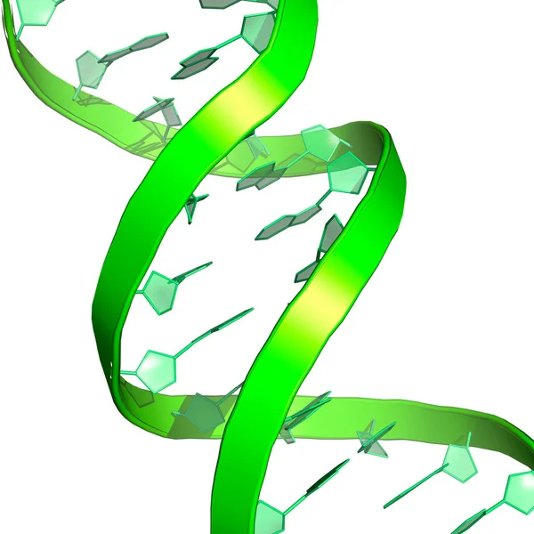 DNA molecule over white background