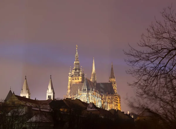 Cathedral lit up at night — 스톡 사진