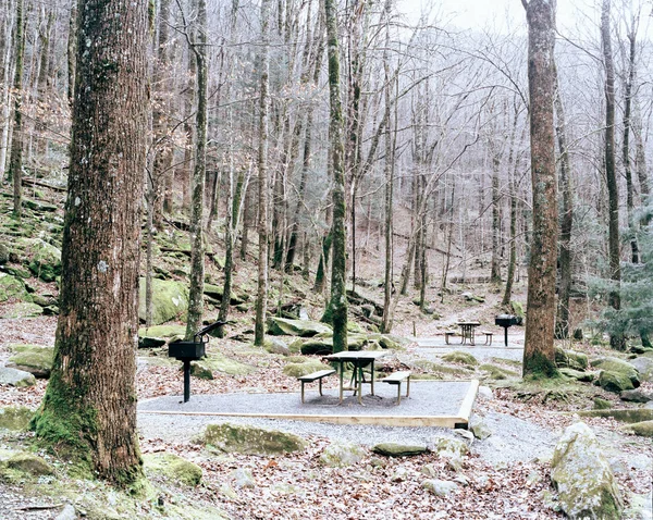 Picnic Tables Forest Pennsylvania Usa — Stock Photo, Image