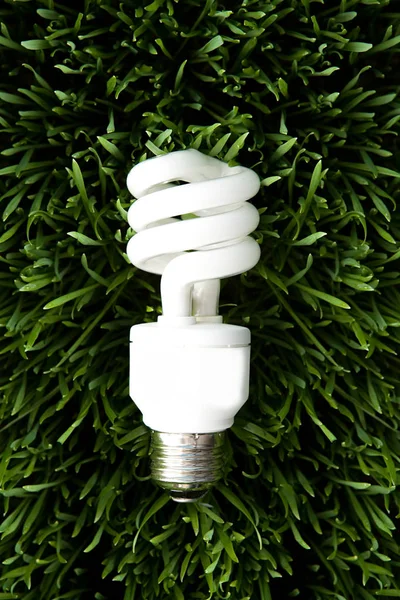 Eine Energiesparlampe — Stockfoto