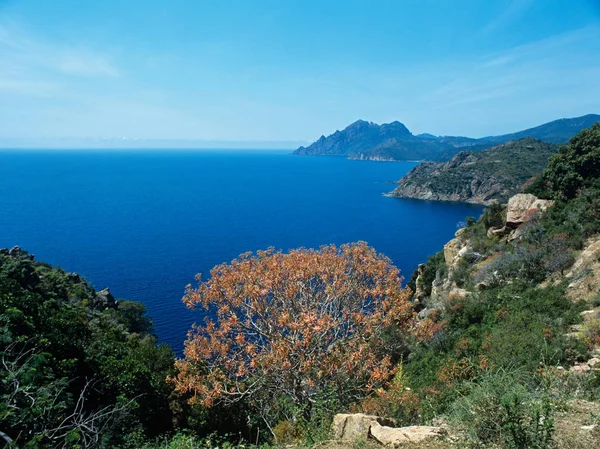 Korsische Küste Bei Blauem Himmel — Stockfoto