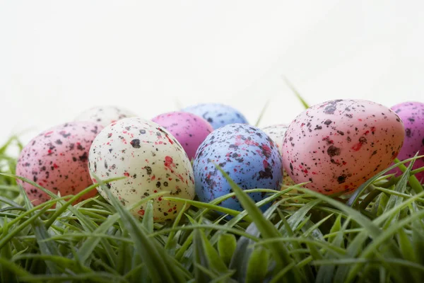 Huevos Salpicados Sobre Hierba — Foto de Stock