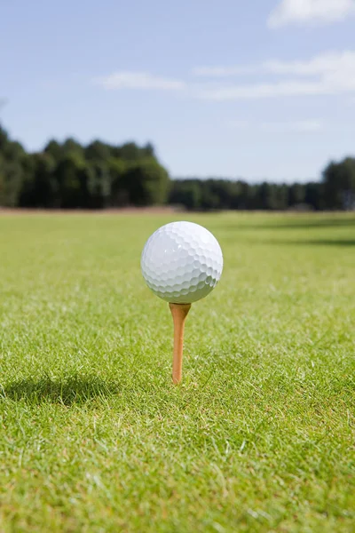 Pelota de golf y tee en fairway —  Fotos de Stock