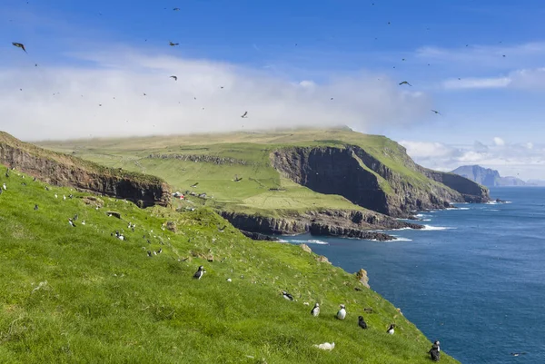 Mykines Faroe Islands Denmark — Stock Photo, Image