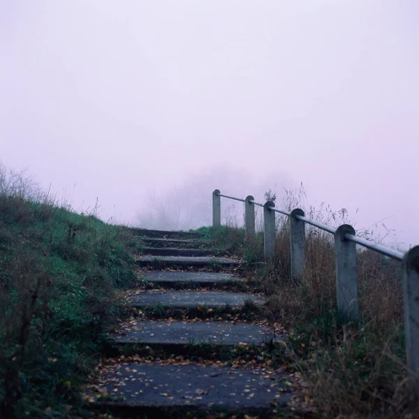 Bir Tepeye Giden Yol — Stok fotoğraf