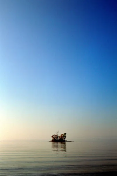 Baumstumpf Auf Kleiner Insel — Stockfoto