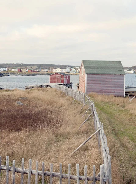 Okyanus Kenarındaki Kulübeler Fogo Adası Newfoundland Kanada — Stok fotoğraf