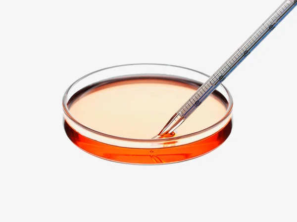 Pipette Petri Dish Selective Focus — 图库照片