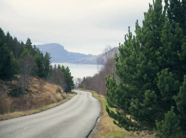 Landelijke Weg Assynt Schotland Verenigd Koninkrijk — Stockfoto