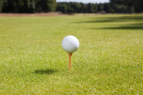 Golfball Und Tee — Stockfoto