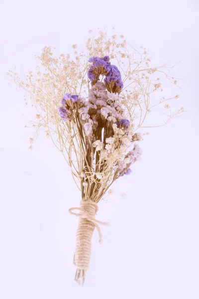 Beautiful Lilac dry flowers bouquet isolated on white background — Stock Photo, Image