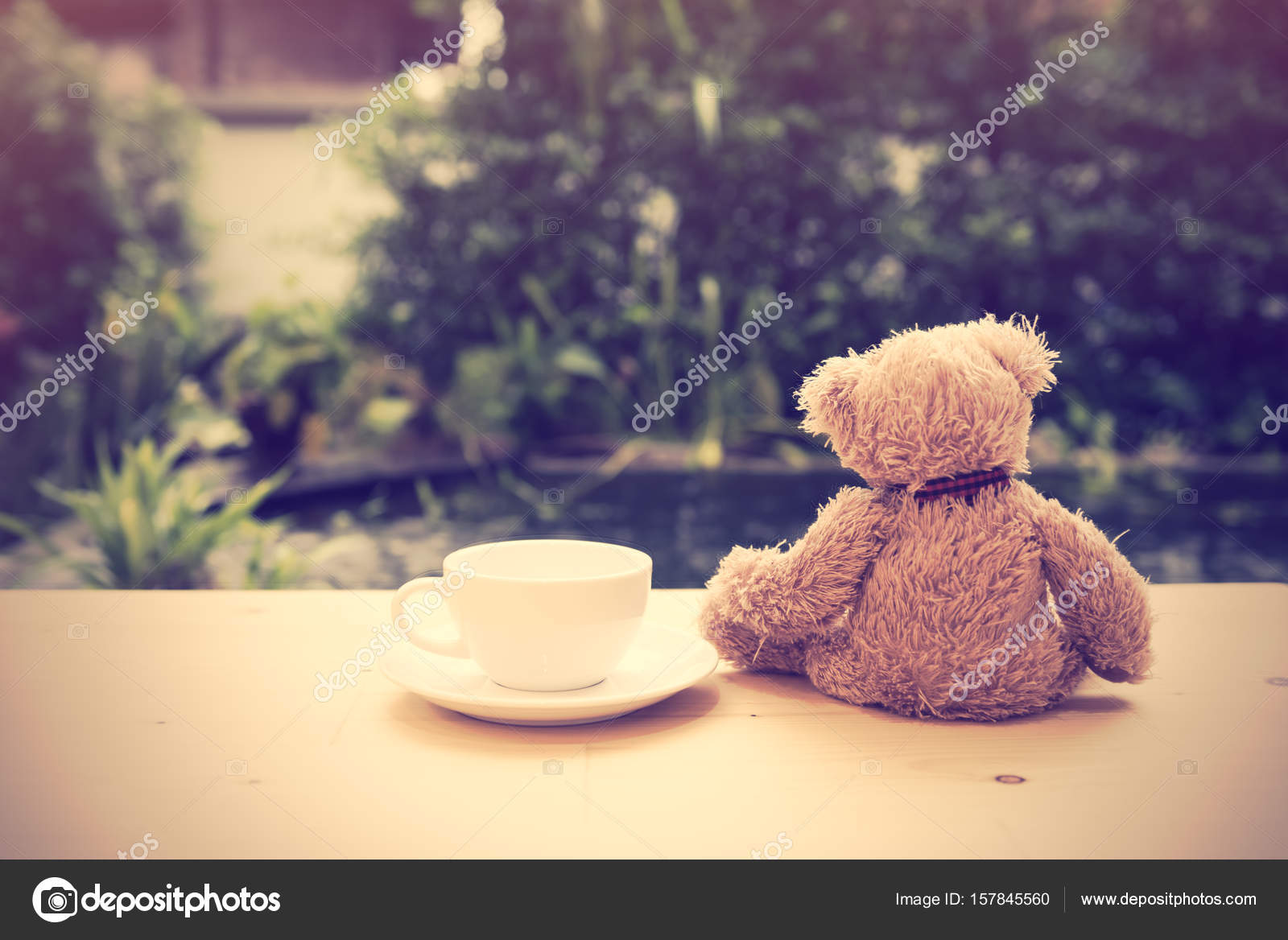 teddy bear coffee