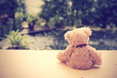 Yalnız oyuncak ayı geri ahşap zemin havuzu arka plan ile otur.