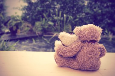 Güzel çift oyuncak ayılar geri ahşap zemin havuzu ba ile otur.