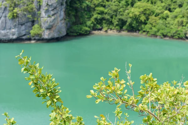 Paisaje vista de pájaro del parque marino nacional de Angthong, Ko sam — Foto de Stock