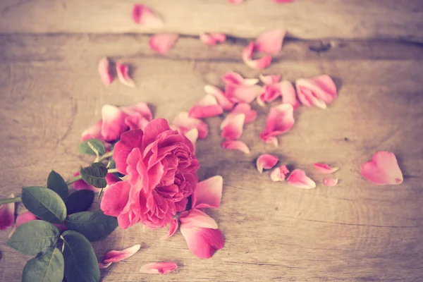 Natureza morta com rosas rosa flor no fundo de madeira grunge — Fotografia de Stock