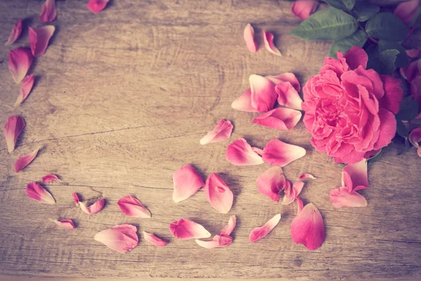 Natura morta, pista di pattinaggio rosa fiore su sfondo di legno grunge con spa — Foto Stock