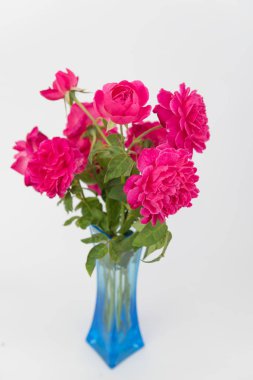 Beyaz arka plan üzerinde izole mavi vazoda kırmızı gül buketi
