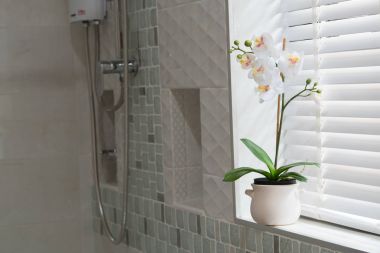 Modern banyo iç dekorasyonunda çiçek dekoru