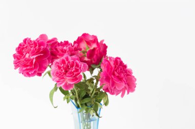 Beyaz izole mavi vazoda kırmızı gül buketi 