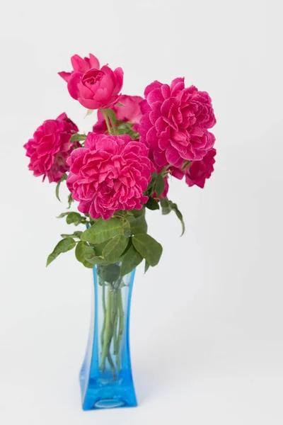 Červené růže kytice v modré váze izolovaných na bílém pozadí — Stock fotografie