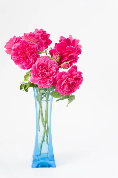 白い背景の青い花瓶にピンクのバラの花束 — ストック写真