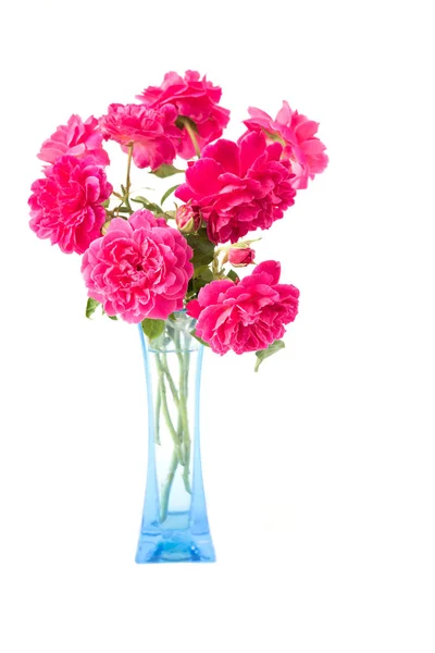 Czerwona róża bukiet w niebieski wazon na białym tle — Zdjęcie stockowe