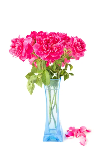 红色的玫瑰花束，在蓝色的花瓶上白色孤立 — 图库照片