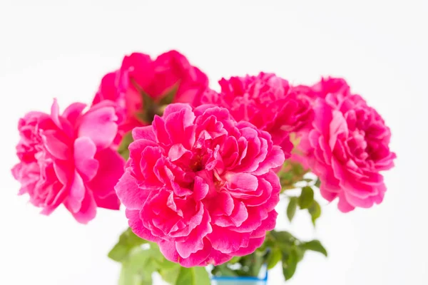 Red rose bouquet in blue vase isolated on white background — Stock Photo, Image