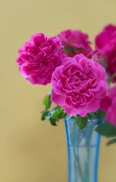 Różowy bukiet róż w niebieski wazon na podłoże drewniane deski — Zdjęcie stockowe
