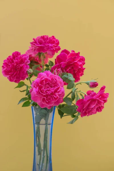 Букет з рожевої троянди у синій вазі на дощатому дерев'яному фоні — стокове фото