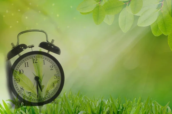 Relógio despertador no início da manhã fresca grama verde, conc vida saudável — Fotografia de Stock
