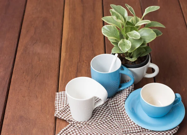 Xícaras de café azul e branco em mesa de madeira com vaso de árvore verde d — Fotografia de Stock
