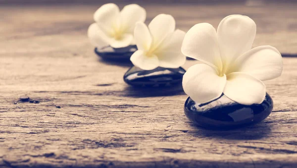 Pile of zen stones and Frangipani flower isolated on white backg — Stock Photo, Image